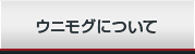 ウニモグについて